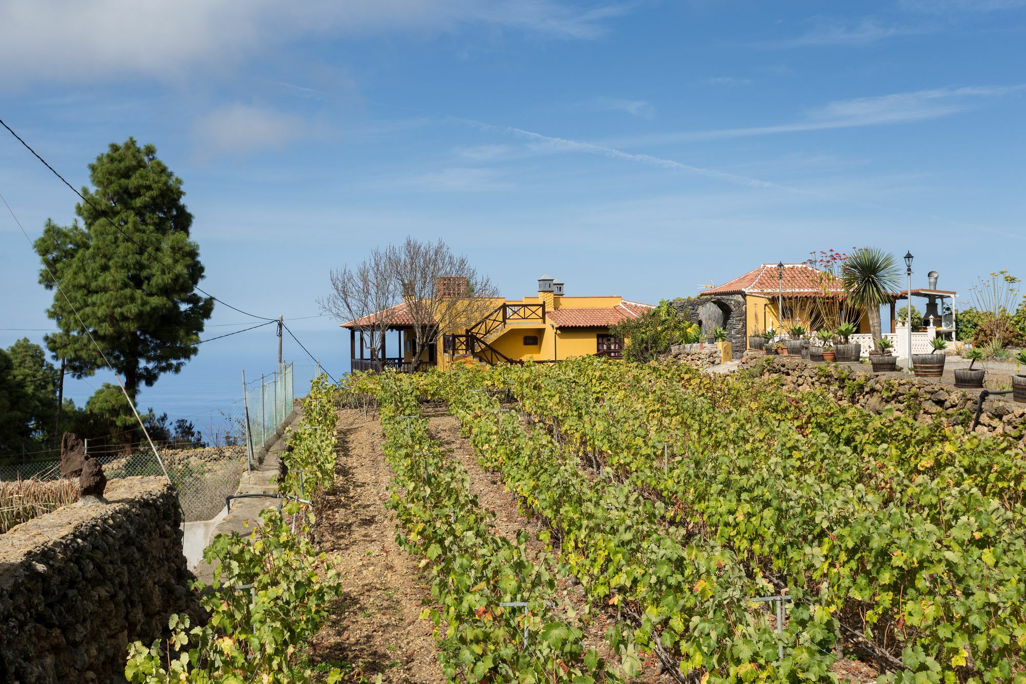 Finca Casa Yaya Icod De Los Vinos Exterior photo