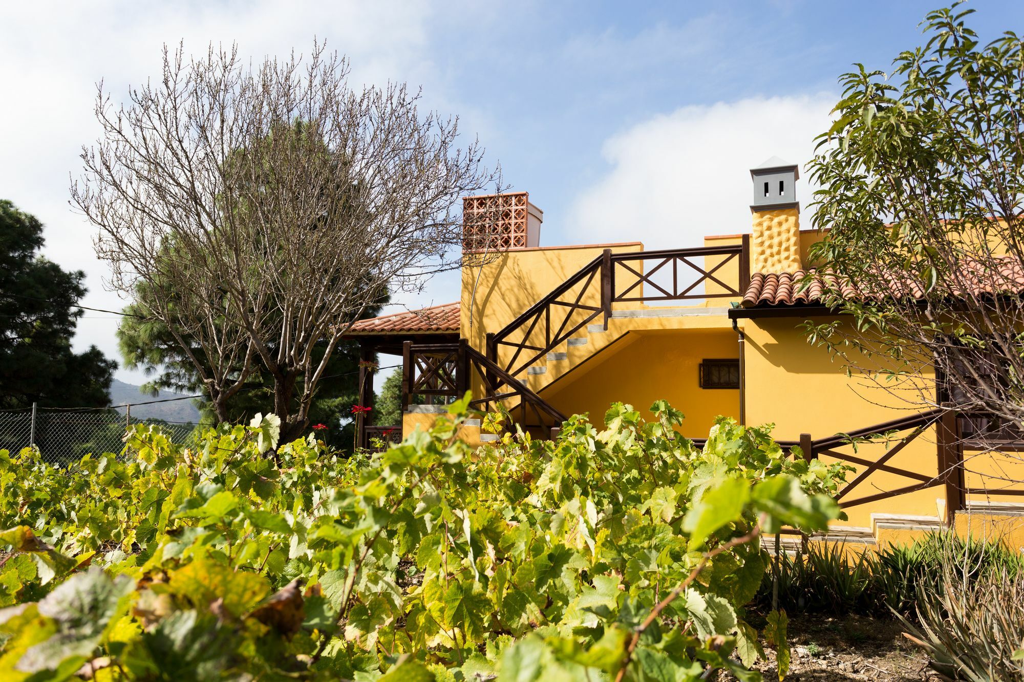 Finca Casa Yaya Icod De Los Vinos Exterior photo
